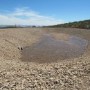 WCWCD Wet Sandy Irrigation Piping Project