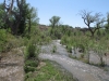 virgin_ashcreek_aboveconfluence_052210_us